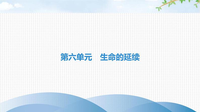 中考生物复习第六单元生命的延续第二十章生物的遗传和变异课件第1页