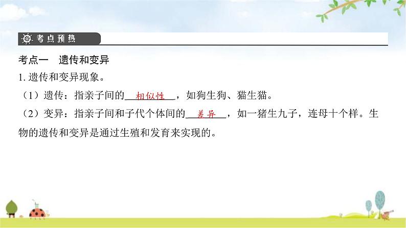 中考生物复习第六单元生命的延续第二十章生物的遗传和变异课件第4页