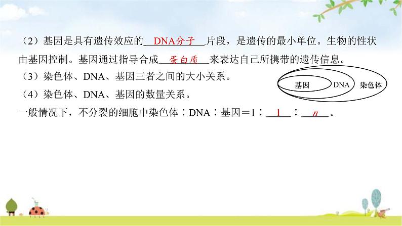 中考生物复习第六单元生命的延续第二十章生物的遗传和变异课件第7页