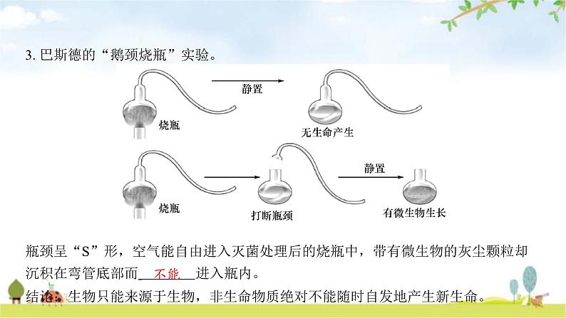 中考生物复习第七单元生命的演化第二十一章生命的发生和发展课件第7页