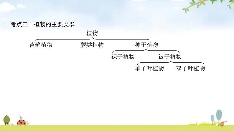 中考生物复习第七单元生命的演化第二十二章物种的多样性课件08