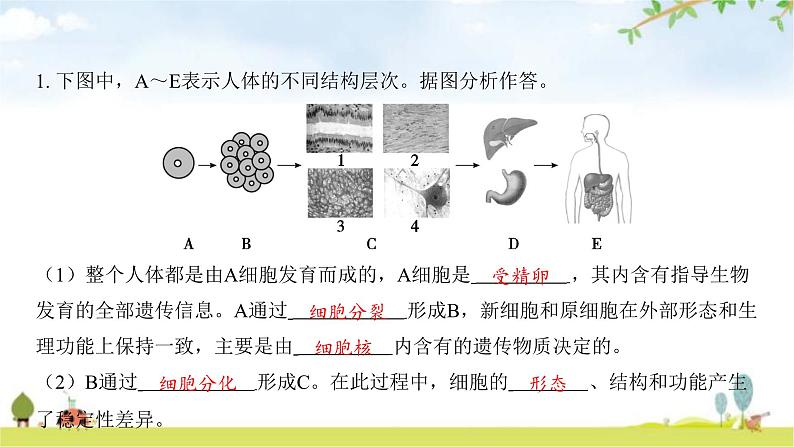 中考生物复习第九单元生物技术中考生物学常考图专练（读图识图）课件第3页