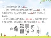 中考生物复习第九单元生物技术中考生物学常考图专练（读图识图）课件