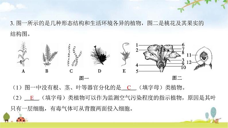 中考生物复习第九单元生物技术中考生物学常考图专练（读图识图）课件第7页