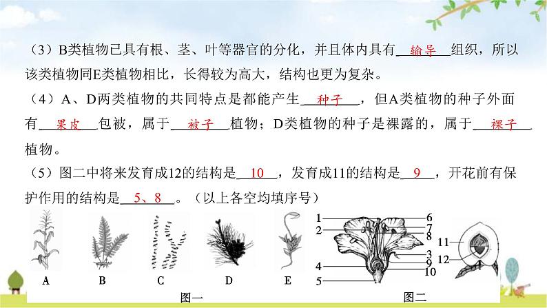 中考生物复习第九单元生物技术中考生物学常考图专练（读图识图）课件第8页