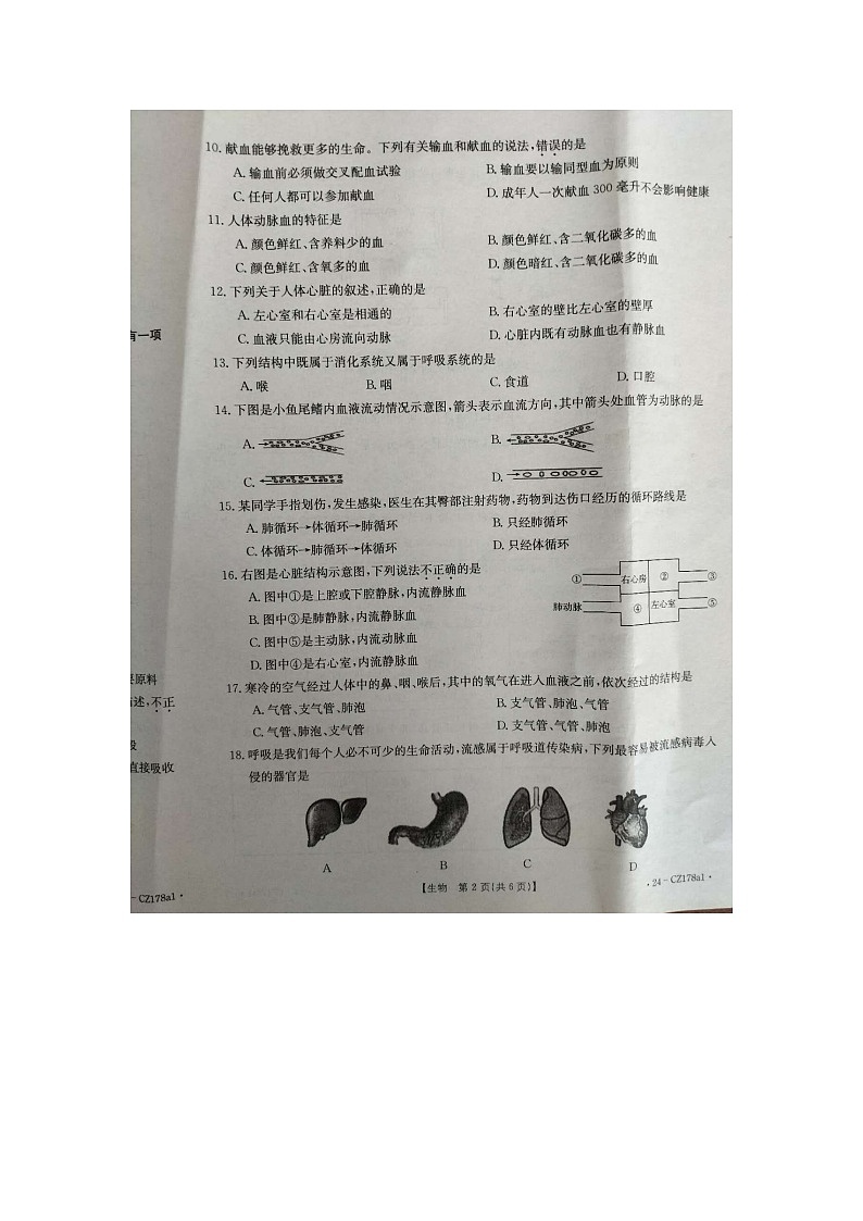 河北省保定市高碑店市2023-2024学年七年级下学期4月期中生物试题02