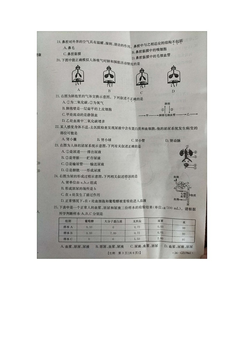 河北省保定市高碑店市2023-2024学年七年级下学期4月期中生物试题03