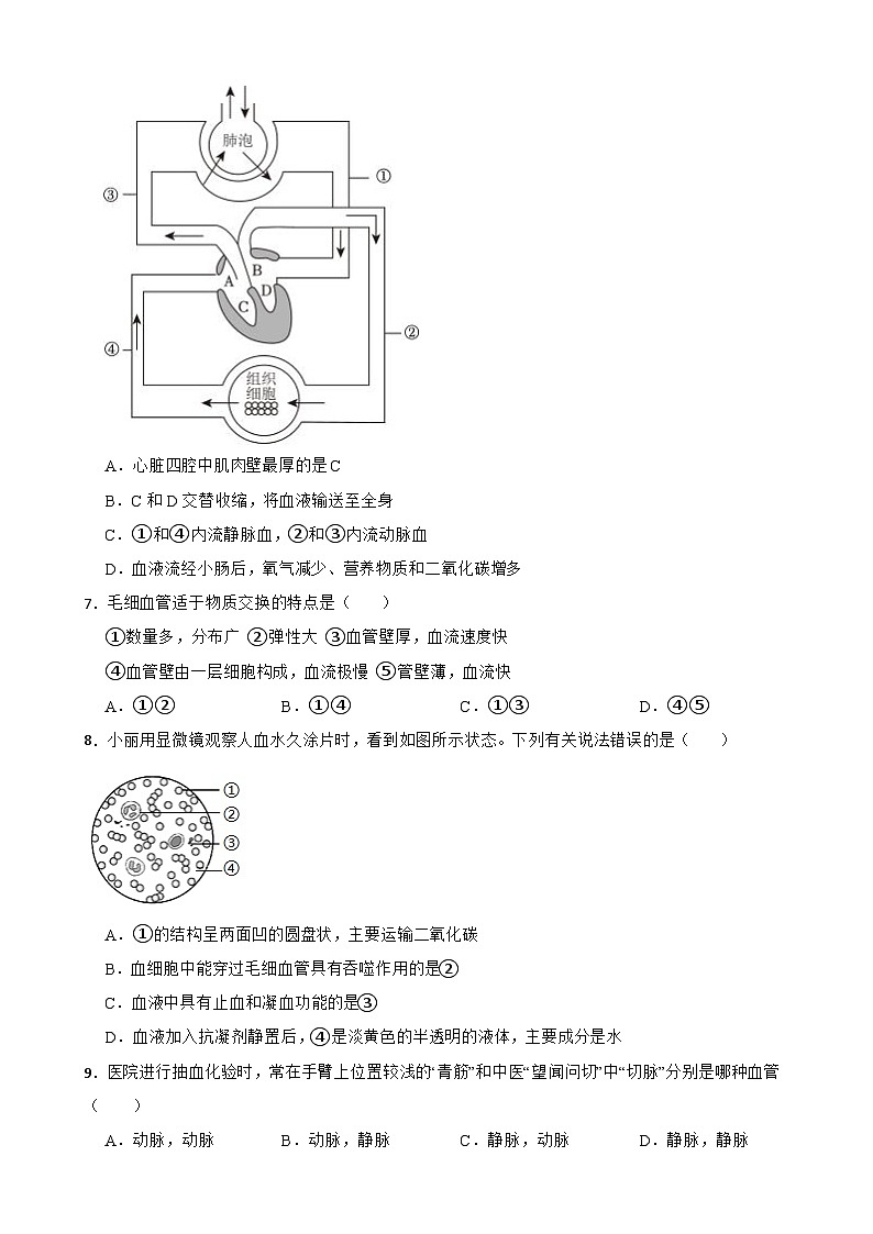 2024年北师大版七年级下学期生物学期中试卷附答案第2页