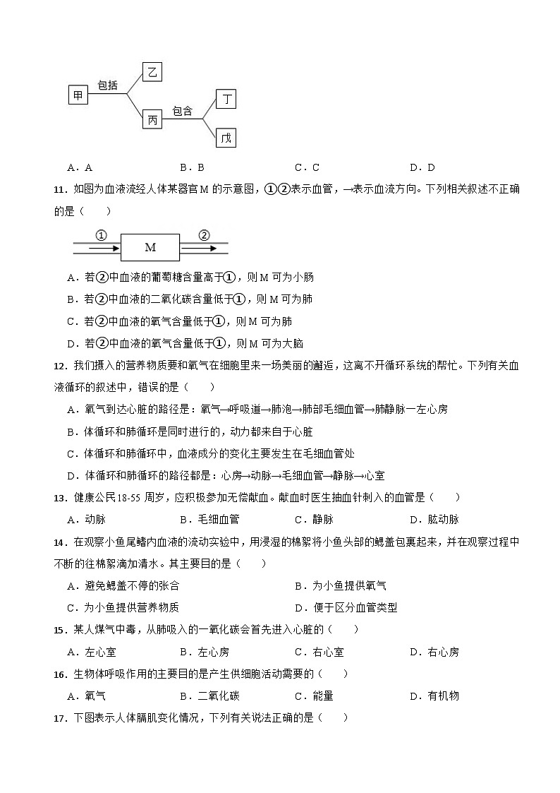 2024年北师大版七年级下学期生物学期中试题附答案第3页