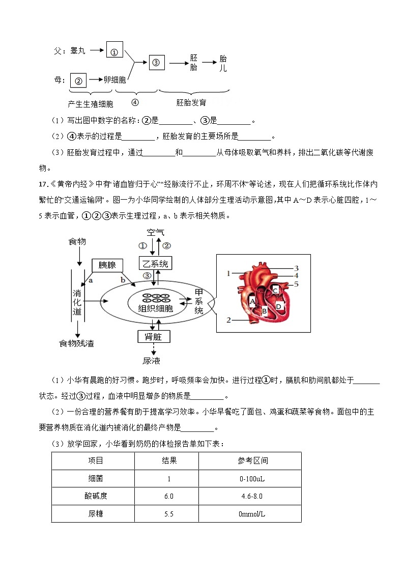 2024年广西七年级下学期生物学期中考试试卷附答案第3页