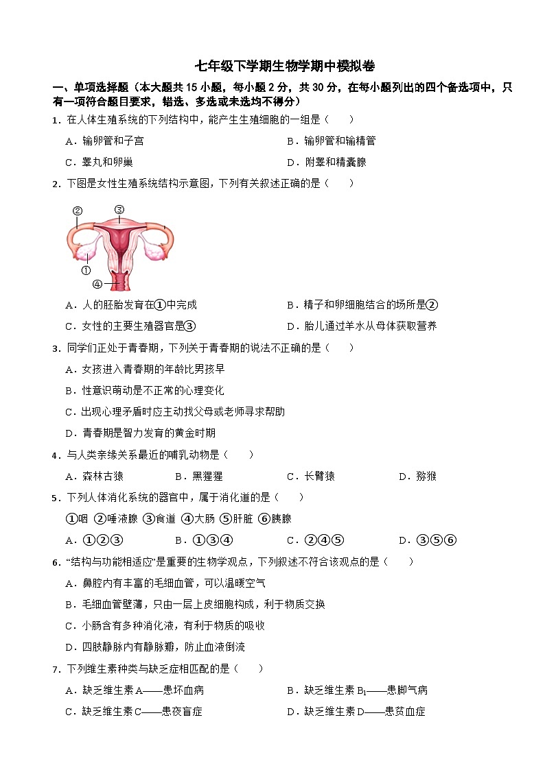 2024年广西七年级下学期生物学期中考试试题附答案第1页