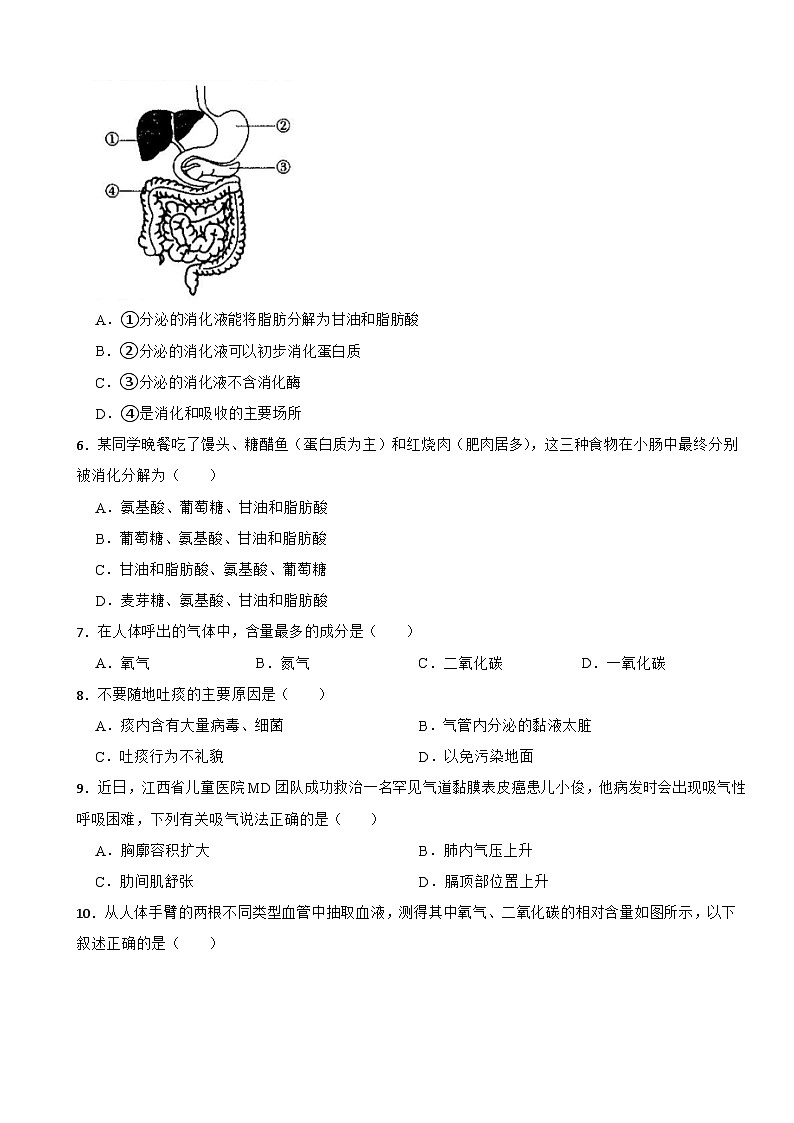 2024年贵州省七年级下学期生物学期中考试试题附答案02