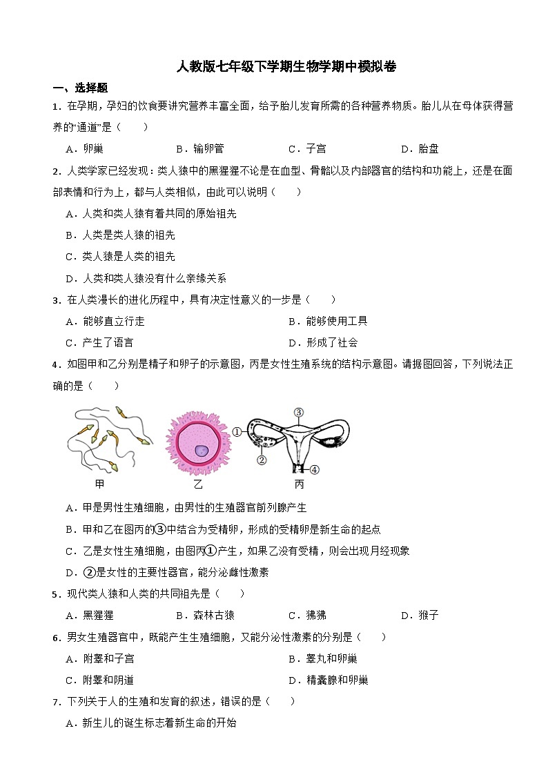 2024年人教版七年级下学期生物学期中考试试卷附答案第1页