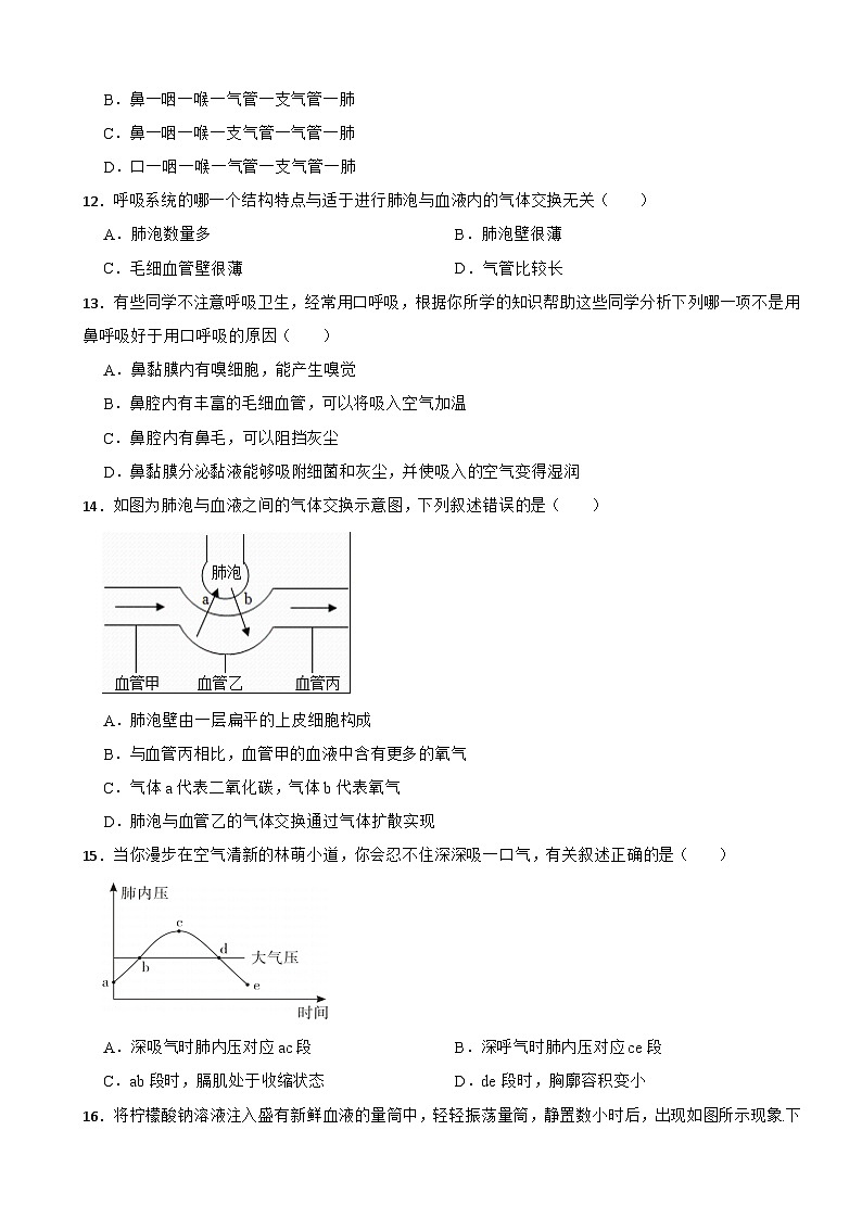 2024年人教版七年级下学期生物学期中试题附答案第3页