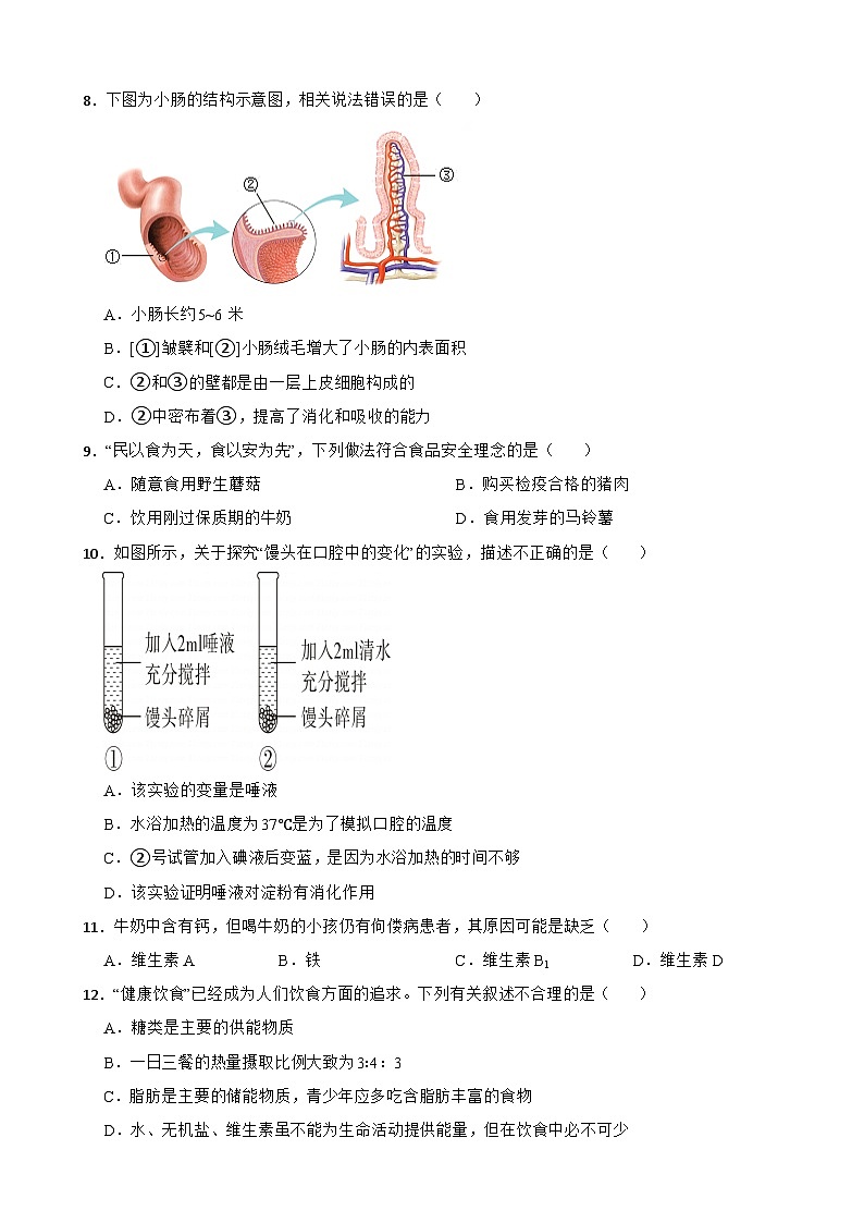 2024年云南省七年级下学期生物学期中试卷附答案第2页