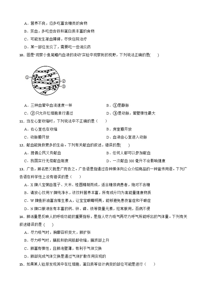 广西北海市2024年七年级生物第二学期期中质量检测试卷附答案第3页