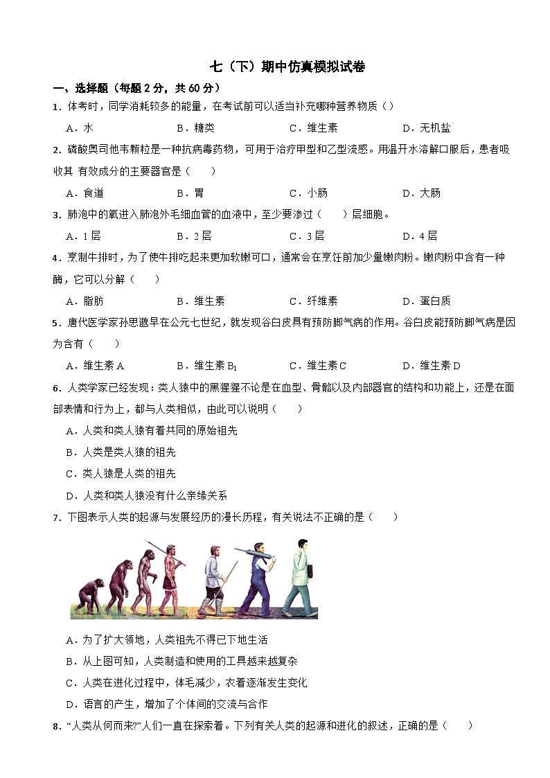 2024年人教版生物学七（下）期中仿真模拟考试试题附答案第1页