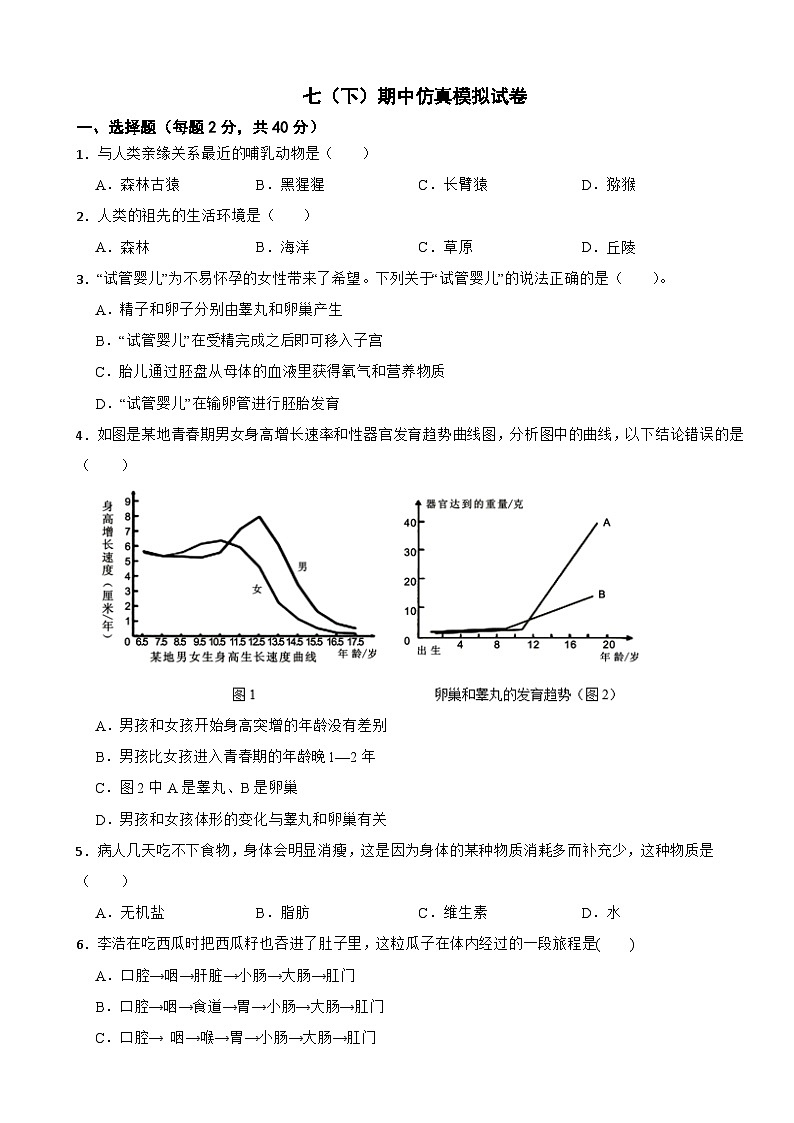 2024年人教版生物学七（下）期中仿真模拟试卷附答案第1页