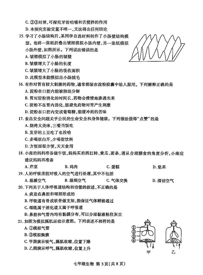 山东省临沂市费县2023-2024学年七年级下学期期中考试生物试题03