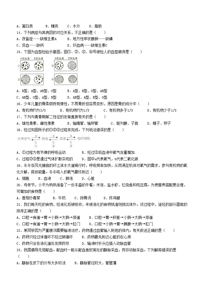 河南省洛阳市新安县2023-2024学年七年级下学期4月期中生物试题第2页