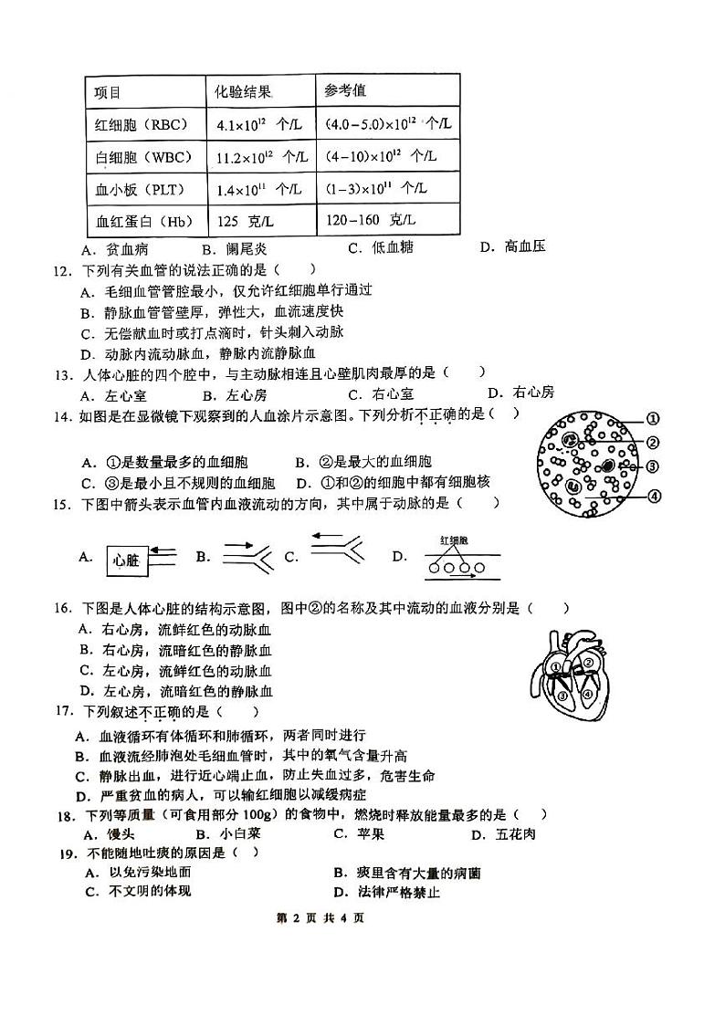 安徽省宿州市萧县2023-2024学年七年级下学期4月期中生物试题第2页