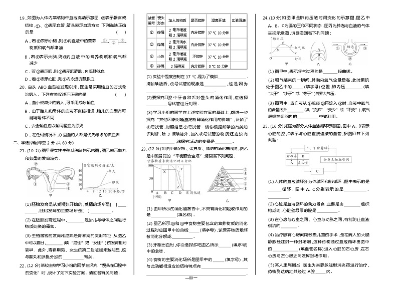 人教版生物七年级下册期中测试卷02