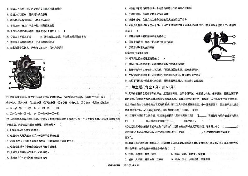 山东夏津双语中学2023-2024学年七年级下学期期中学习成果阶生物试题+03