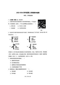 广东省深圳市桂圆中学等学校2023--2024学年八年级下学期期中考试生物试题