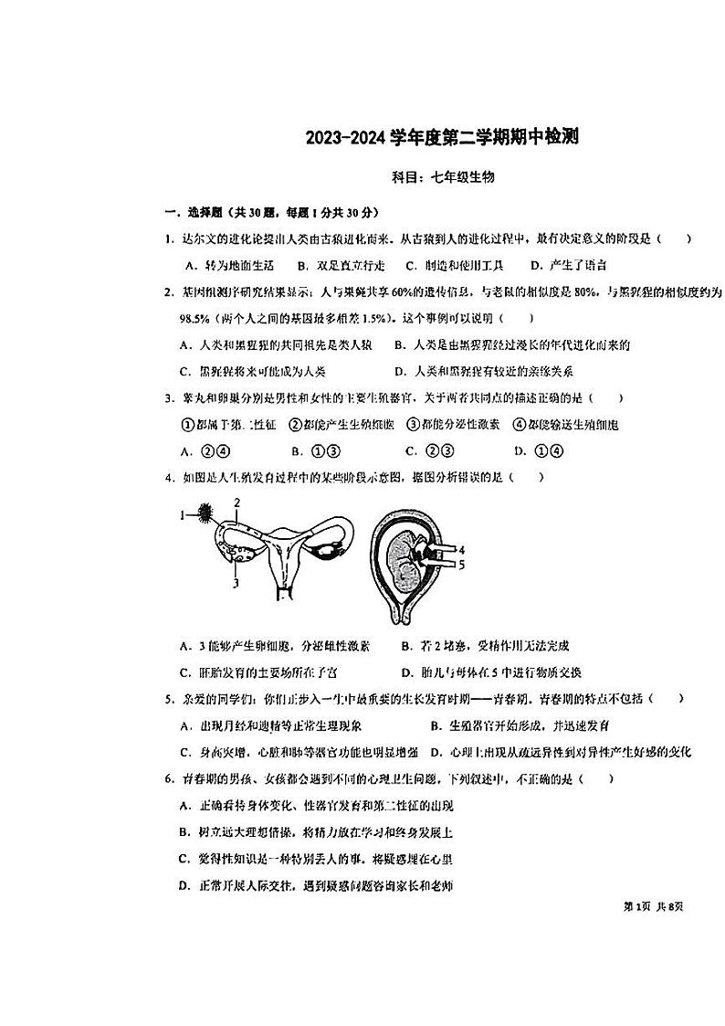 广东省桂圆中学等学校2023--2024学年七年级下学期期中考试生物试题01