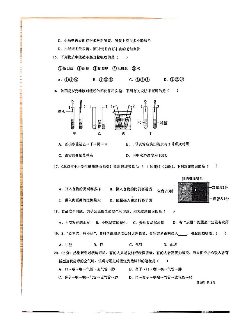 广东省桂圆中学等学校2023--2024学年七年级下学期期中考试生物试题03