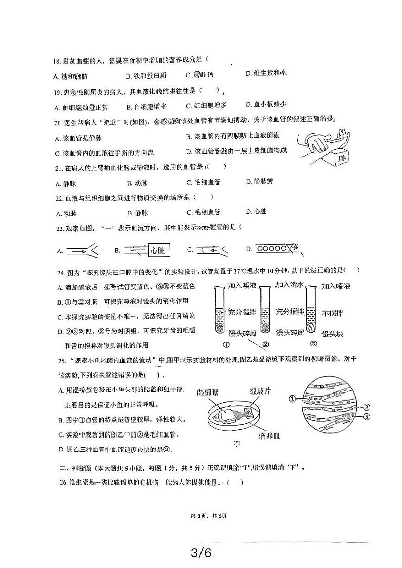 福建省福州教育学院附属中学2023-2024学年七年级下学期4月期中生物试题第3页