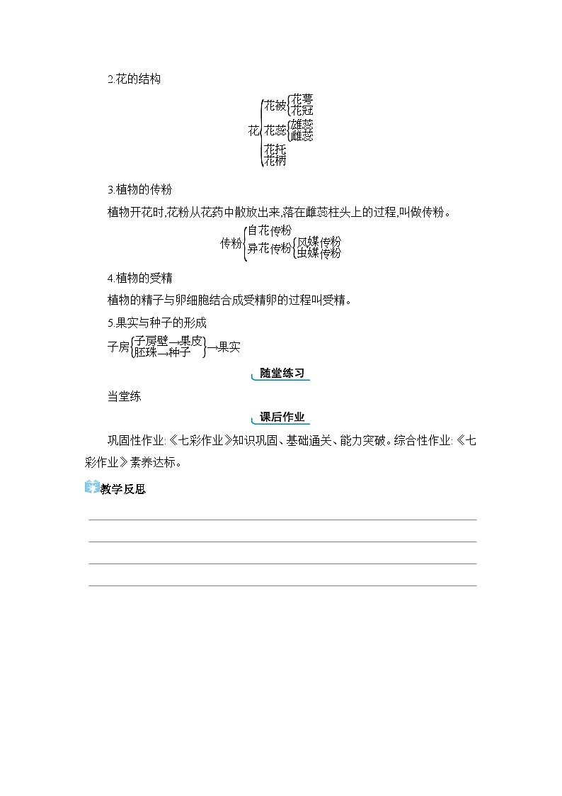 第6单元生物的繁衍和发展6.1.1 被子植物的生殖精品教案（冀少版八下）03