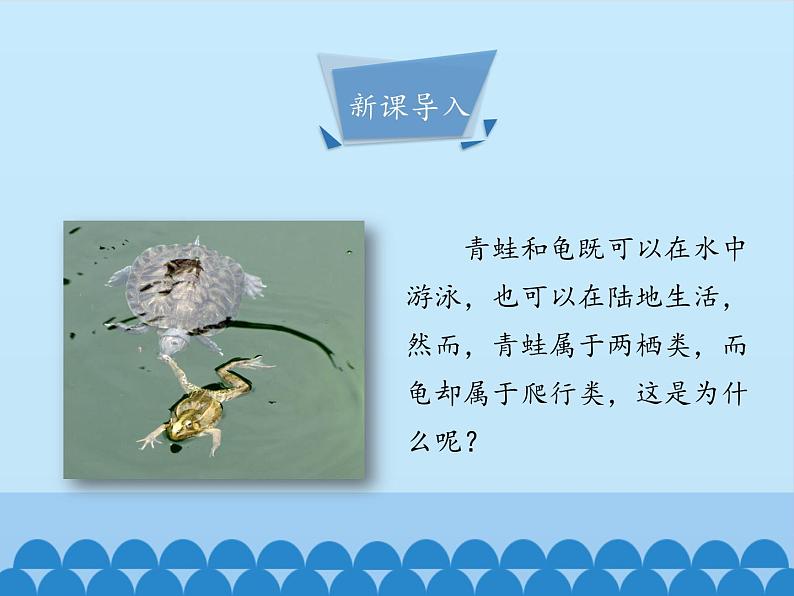 冀少版生物七年级上册 第四章 第七节 两栖类和爬行类-第二课时_课件第3页