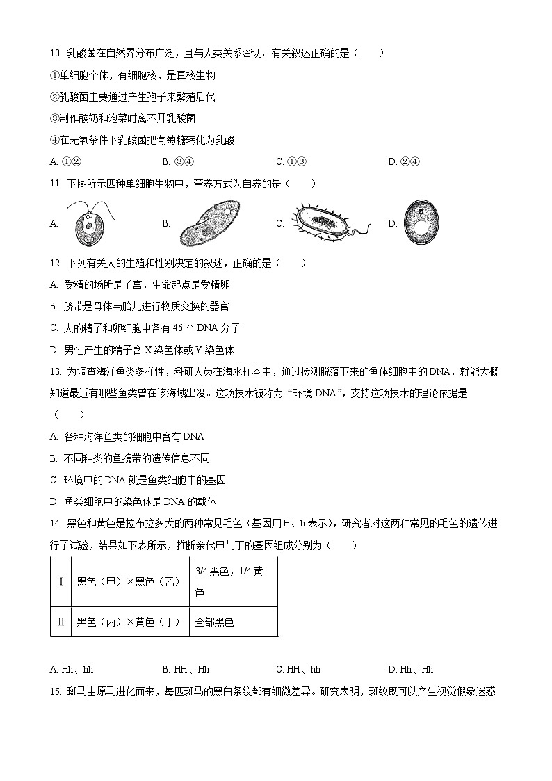 2024年山东省泰安市泰山区中考一模生物试题（原卷版）第3页