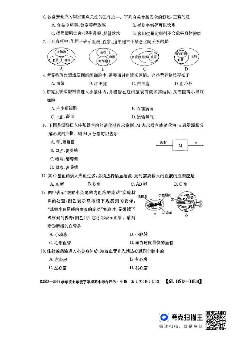 河北省廊坊市2023-2024学年七年级下学期4月期中生物试题第2页