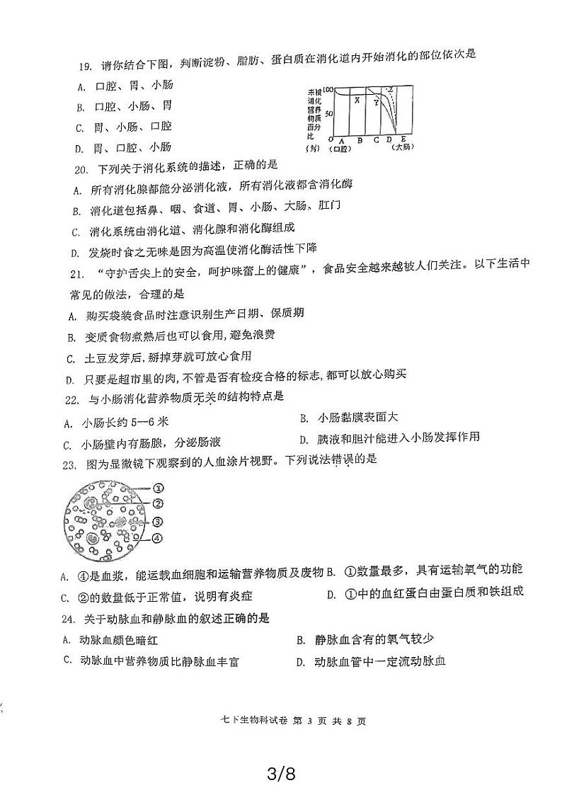 福建省永春第一中学2023-2024学年七年级下学期4月期中生物试题03