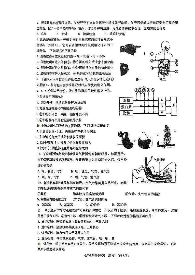山东省青岛市崂山区2023-2024学年七年级下学期期中生物试题02