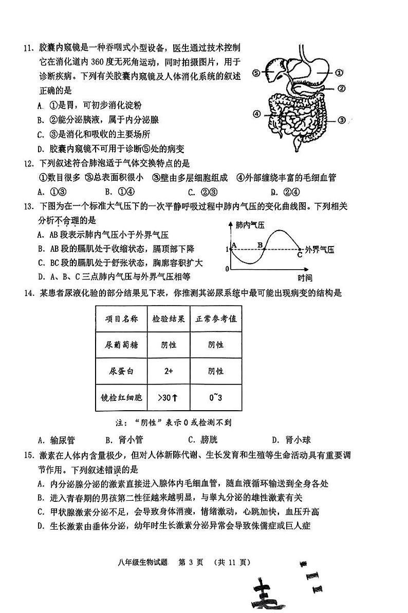 2024年山东省青岛市崂山区八年级一模生物试题03