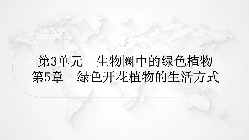 北师大版中考生物复习七年级上册第3单元生物圈中的绿色植物第5章绿色开花植物的生活方式课件01