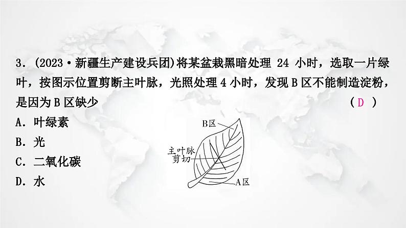 北师大版中考生物复习七年级上册第3单元生物圈中的绿色植物第5章绿色开花植物的生活方式课件05