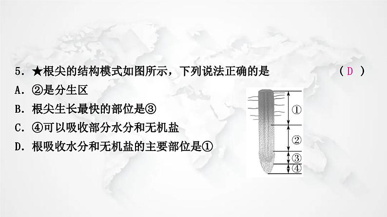 北师大版中考生物复习七年级上册第3单元第6章绿色开花植物的生活史第7章绿色植物与生物圈课件06