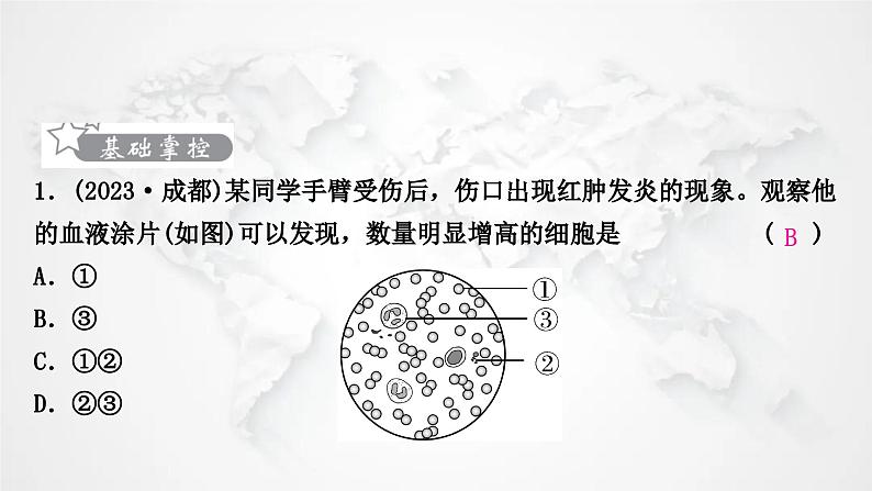 北师大版中考生物复习七年级下册第4单元生物圈中的人9章人体内的物质运输课件02