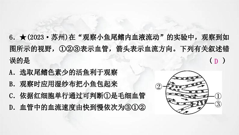 北师大版中考生物复习七年级下册第4单元生物圈中的人9章人体内的物质运输课件08