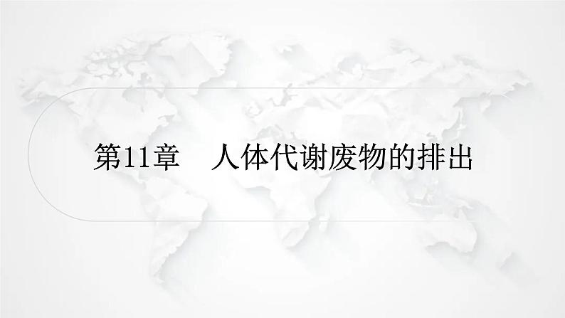 北师大版中考生物复习七年级下册第4单元生物圈中的人11章人体代谢废物的排出课件01