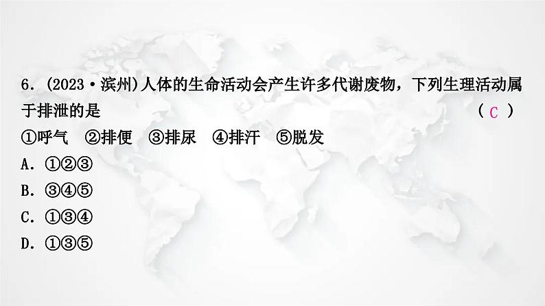 北师大版中考生物复习七年级下册第4单元生物圈中的人11章人体代谢废物的排出课件07