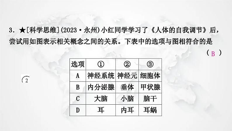 北师大版中考生物复习七年级下册第4单元生物圈中的人12章人体的自我调节课件第4页