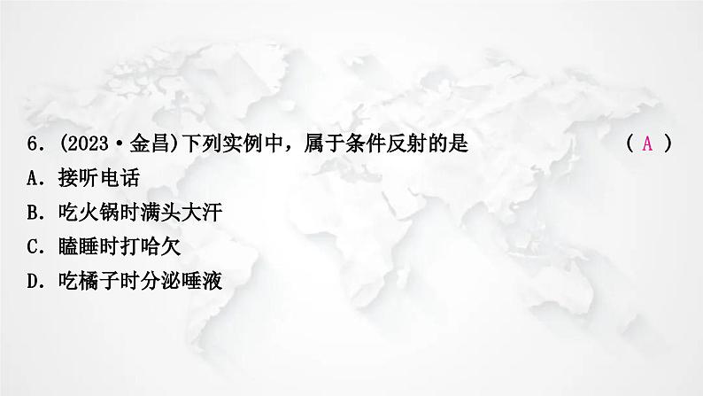 北师大版中考生物复习七年级下册第4单元生物圈中的人12章人体的自我调节课件第7页