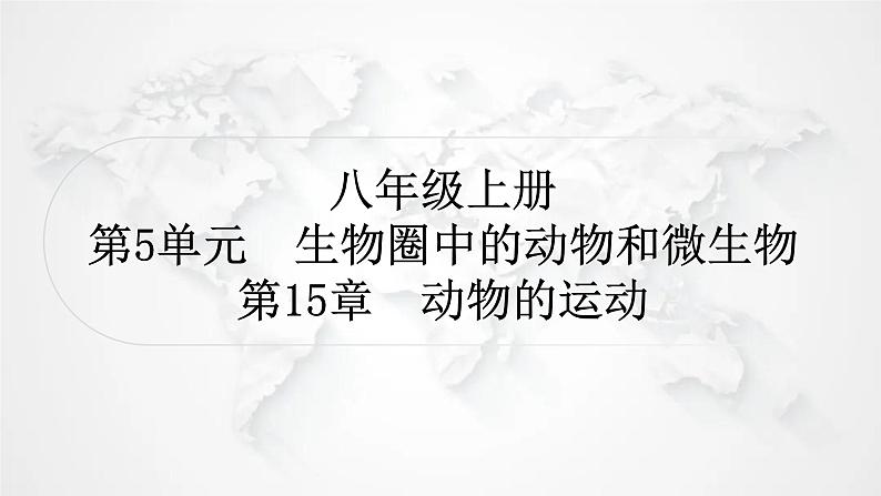 北师大版中考生物复习八年级上册第5单元生物圈中的动物和微生物第15章动物的运动课件01