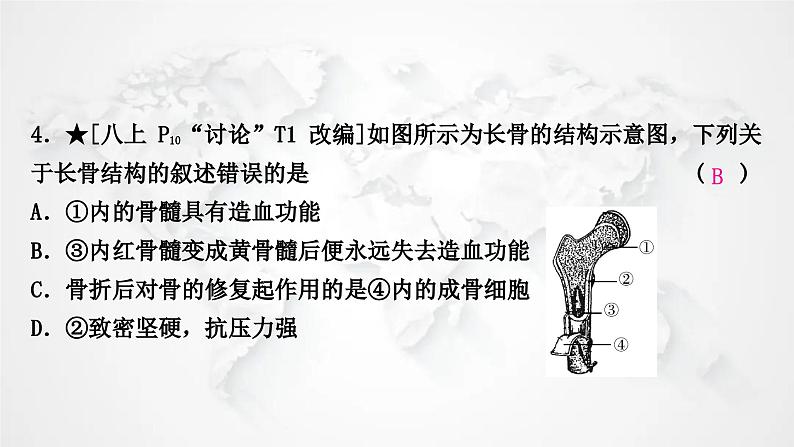 北师大版中考生物复习八年级上册第5单元生物圈中的动物和微生物第15章动物的运动课件05