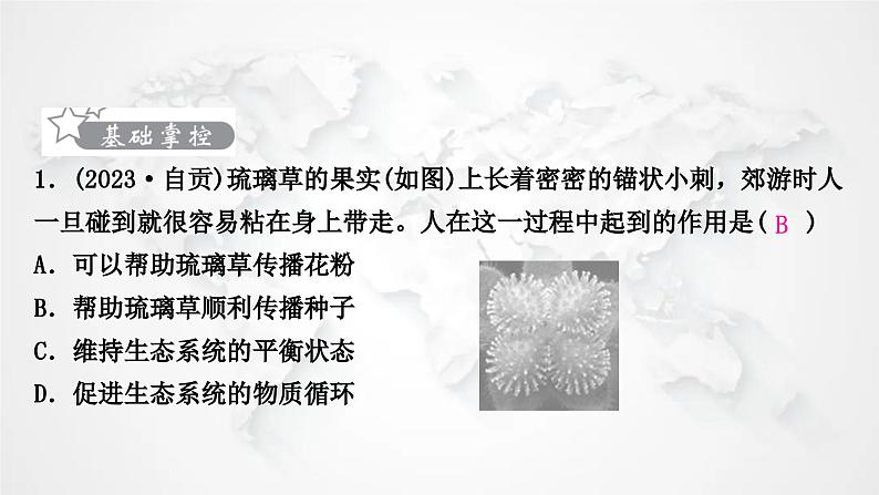 北师大版中考生物复习八年级上册第5单元第17章生物圈中的动物第18章生物圈中的微生物课件02